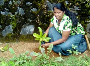 +94766556650.jpg