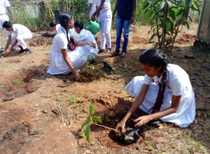 +94 70 486 6412.jpeg