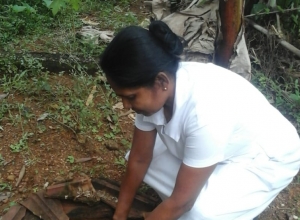 +94 70 269 5615.jpeg