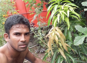 +94 71 567 6152.jpeg