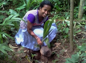 +94 71 855 1816.jpeg