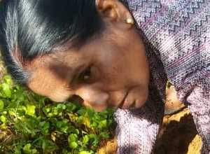 +94 71 996 0654.jpeg