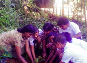 +94 76 030 6095_03.jpeg