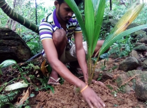 +94 76 746 8049_02.jpeg