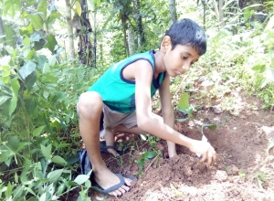 +94 77 167 3424.jpeg