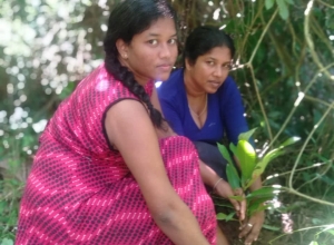 +94 77 297 0479_02.jpeg