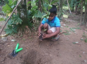 +94 77 305 4645.jpeg