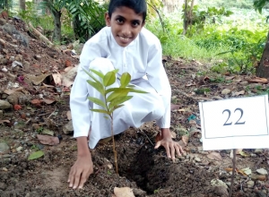 +94 77 333 9809_02.jpeg