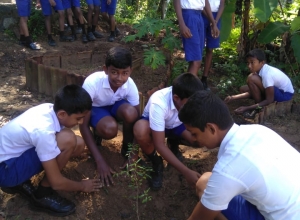 +94 77 600 5515_03.jpeg