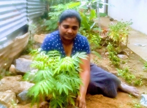 +94 77 803 2879.jpeg
