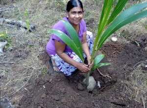 +94 78 802 1368.jpeg