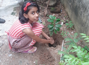 gayawicky2000@gmail.com-Tenuli Hewavithana-Mount Lavinia.jpg