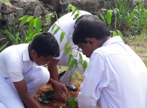 narandeniyacc@gmail.com-20191007_085731.jpg