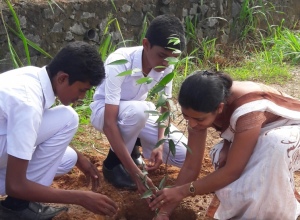 narandeniyacc@gmail.com-20191007_085849.jpg