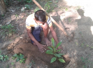 danujakvamah@gmail.com-20191006_073115.jpg