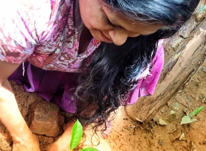 irukarunarathna0902@gmail.com-IMG-20191006-WA0025-01.jpeg