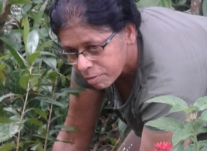 lprajapaksha65@gmail.com-20191006_142120.jpg