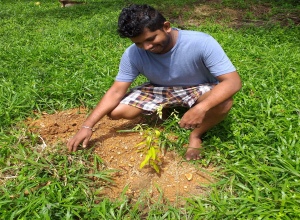 pabawijesinghe@gmail.com-20191006_105947.jpg