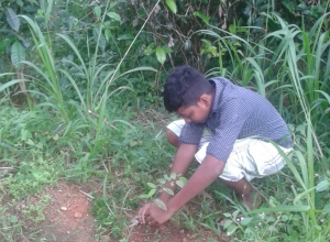 +94 71 141 7190_04.jpeg