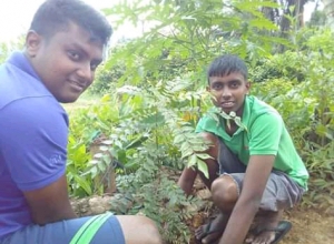 +94 77 033 1793.jpeg