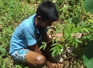 IMG-dce5db87a1195fb00a9b006eb661bc3d-V.jpg