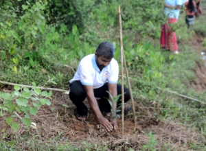 Derana Wenuwen Akuresse Ruk Roopana-Akuressa Ajith (29).jpg