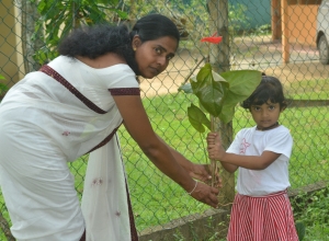 matara denipitiya ridma tharu pera pasala - denudi sethunya.jpg