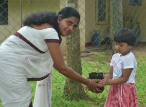 matara denipitiya ridma tharu pera pasala -iduwari samarawickarama.jpg