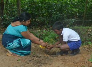 matara warakapitiya maha vidayalaya - 5 wasara - hansa vidulanga.jpg