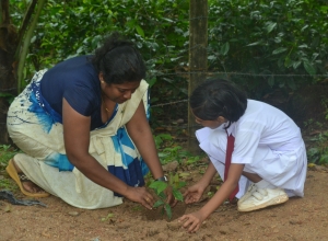 matara warakapitiya maha vidayalaya - 5 wasara - nethmi nuwanthika.jpg