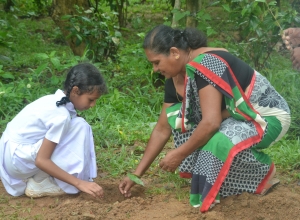 matara warakapitiya maha vidayalaya - 5 wasara - niyeni senethya.jpg