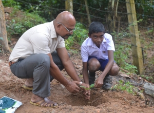 matara warakapitiya maha vidayalaya - 5 wasara - omal bashitha.jpg