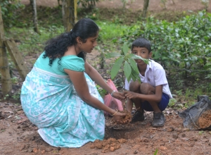 matara warakapitiya maha vidayalaya - 5 wasara - thilidu nimsara.jpg