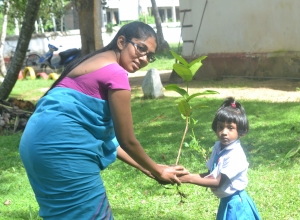 medharama mul lamaviya madayasthanaya... matara... weligama - lehansa mandakini.jpg
