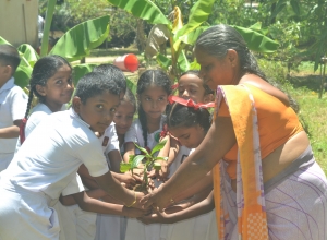 matara weligama polwaththa prathamika vidayalaya- 4 wasara..jpg