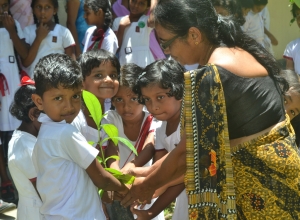 matara weligama polwaththa prathamika vidayalaya-5 wasara.jpg