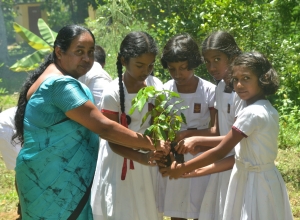 matara weligama polwaththa prathamika vidayalaya-5 wsara...jpg