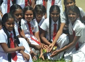 matara, weligama sumangala balika vidayalaya - 5 wasara.jpg