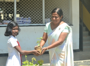 matara, weligama sumangala balika vidayalaya -6 wasara - anusari kaveesha.jpg