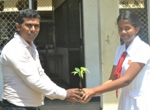 matara, weligama sumangala balika vidayalaya -6 wasara - nethuli limansa.jpg