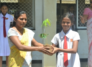 matara, weligama sumangala balika vidayalaya -6 wasara - savidi nimanthara.jpg