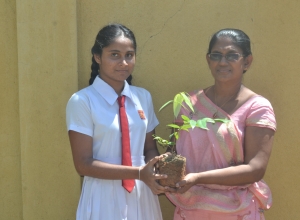 matara, weligama sumangala balika vidayalaya -12 wasara - chathuri madhushani.jpg