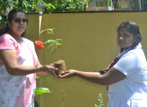 matara, weligama sumangala balika vidayalaya -12 wasara - dasuni madhubashini.jpg