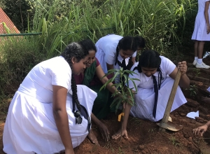 LAKMINI WIJESINGHE.JPG