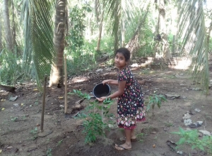 +94 71 788 0658.jpeg