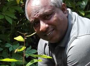 +94 76 138 4747.jpeg