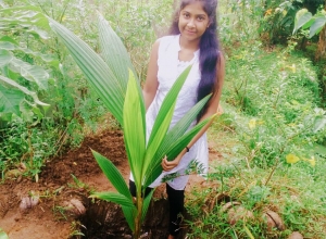 +94 76 964 1775.jpeg