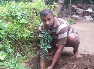 +94 70 382 8470.jpeg