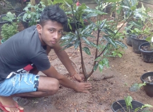 +94 75 279 2246.jpeg