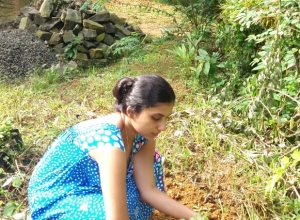 +94 77 006 1664.jpeg